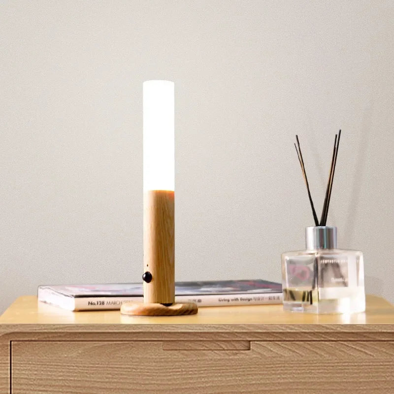 USB Rechargeable Motion Sensor Night Lights