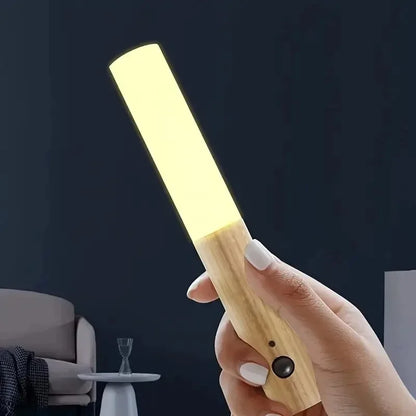 USB Rechargeable Motion Sensor Night Lights